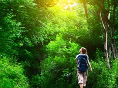 From the Desk of the Editorial Manager: My Path to Self-Publishing From the Desk of the Editorial Manager: My Path to Self-Publishing