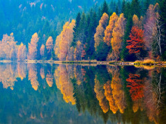 5 Ways to Paint Autumn into Your Writing 5 Ways to Paint Autumn into Your Writing