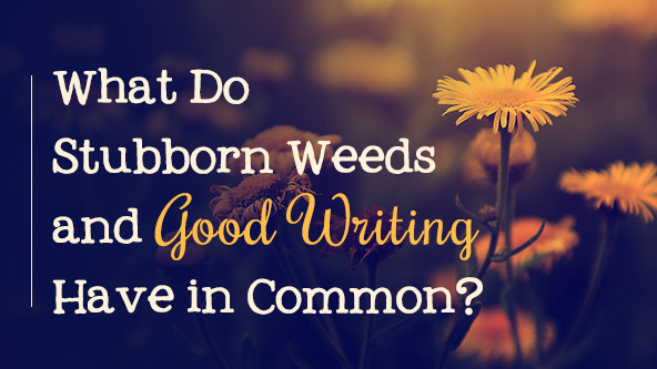Gather Ye Rosebuds: What Stubborn Weeds and Good Writing Have in Common