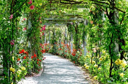 arch of flowers and vines with a path to walk; how to live a more creative life