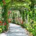 arch of flowers and vines with a path to walk; how to live a more creative life