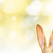 bunny rabbit ears with a green and white spring background that is blurred; writing an Easter-themed children's book